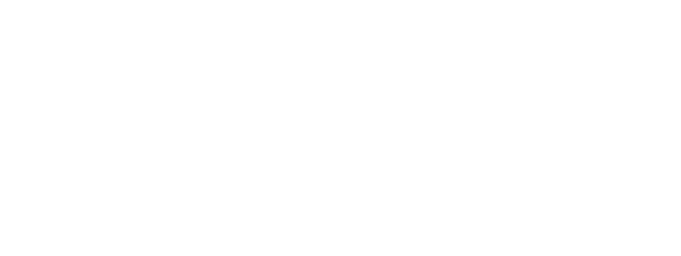 Venturi