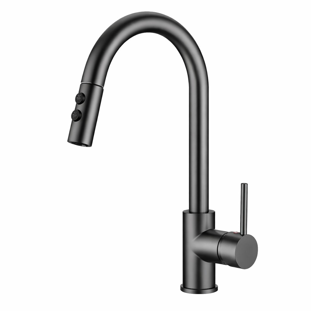 Venturi Pull-Out Kitchen Mixer